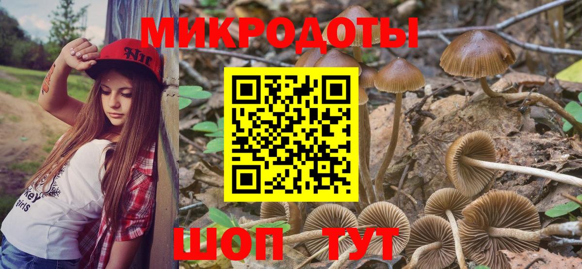 Псилоцибиновые грибы ЛСД Выборг